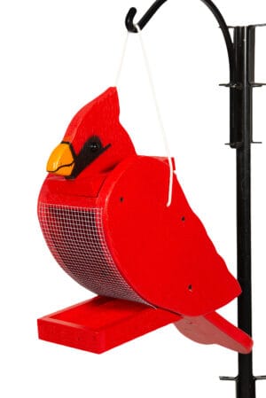 Cardinal bird feeder.
