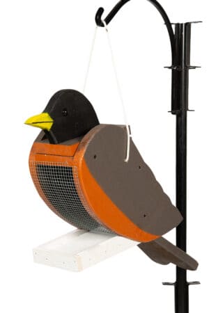 Bird feeder that looks like a robin.